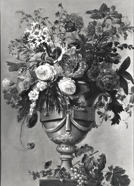 A. C. Cooper — Buiteveld Jan - sec. XVIII - Natura morta con vaso di fiori — insieme